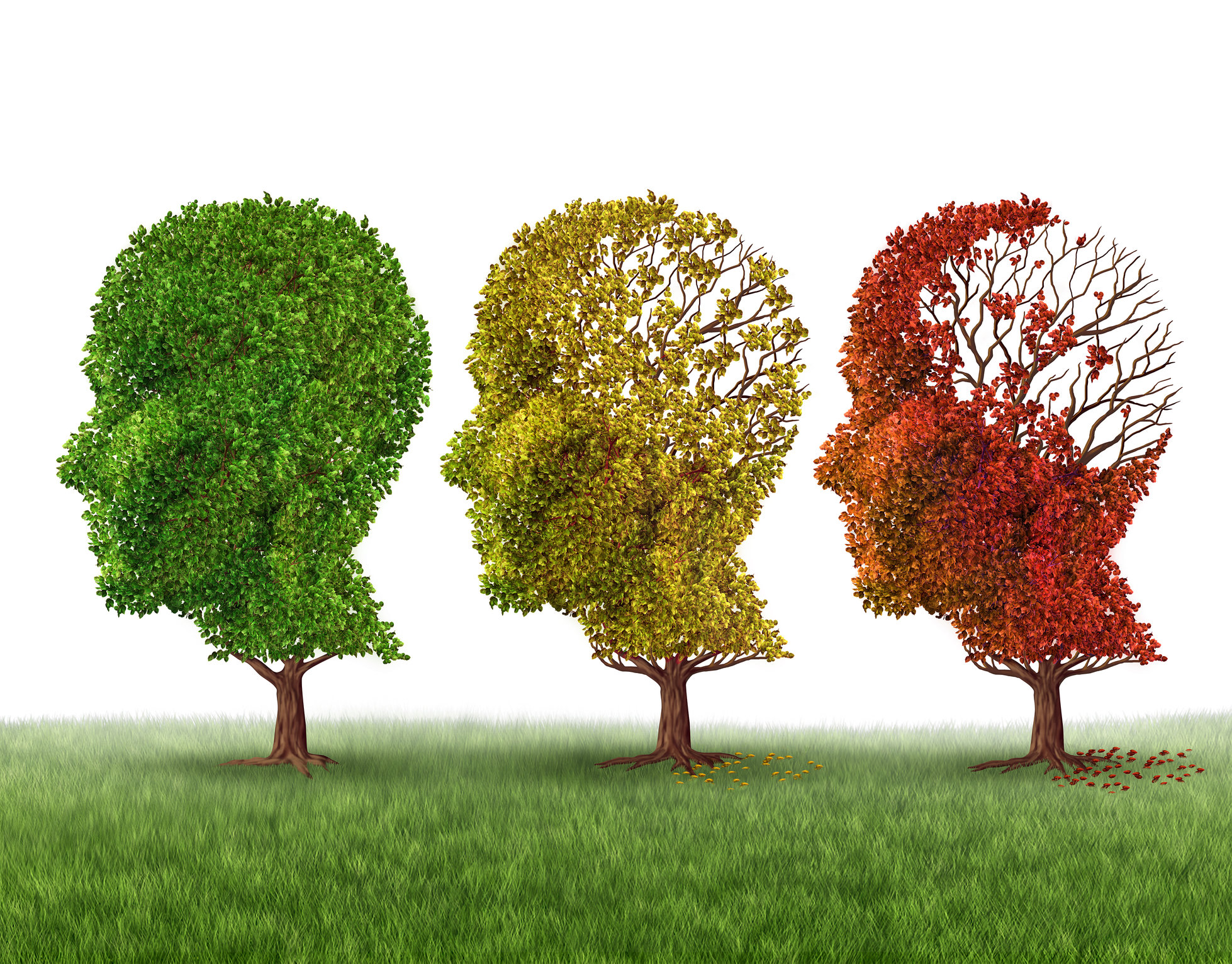FDA Changes the Way Alzheimer’s Research is Approached