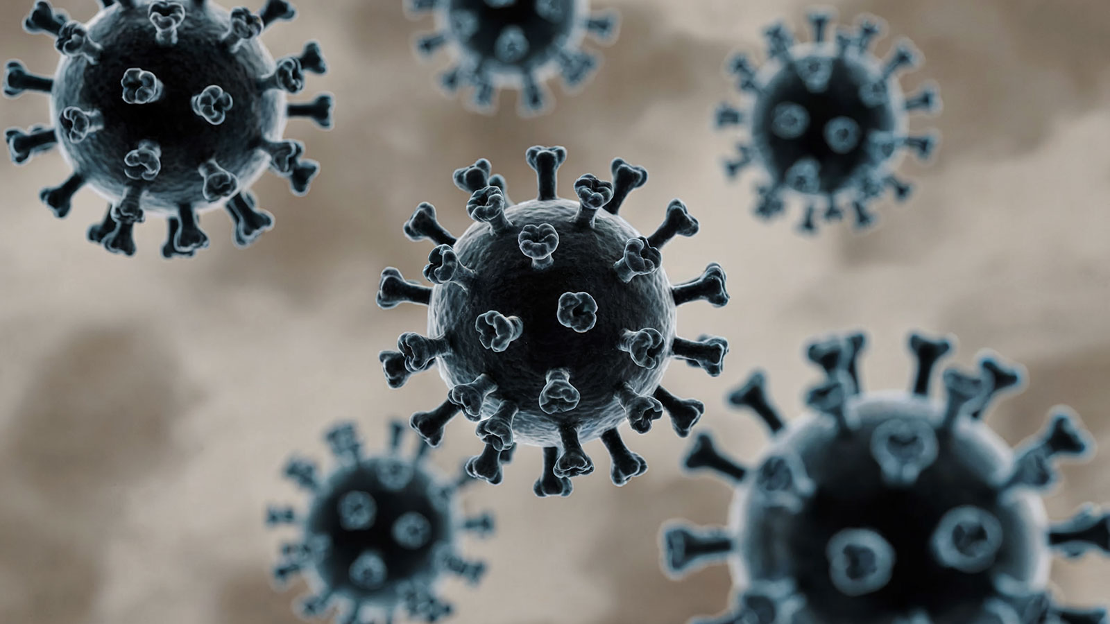 COVID-19 Corona Virus Information